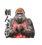 関西弁ゴリラ【家族連絡】（個別スタンプ：38）