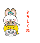 着ぐるみうさぎいっぱい（個別スタンプ：28）