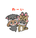着ぐるみうさぎいっぱい（個別スタンプ：33）