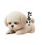 なげやり3Dシーズー（個別スタンプ：1）