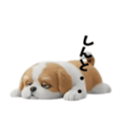 なげやり3Dシーズー（個別スタンプ：4）