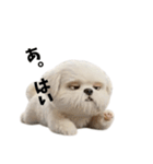 なげやり3Dシーズー（個別スタンプ：12）