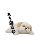 なげやり3Dシーズー（個別スタンプ：14）