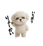 なげやり3Dシーズー（個別スタンプ：23）