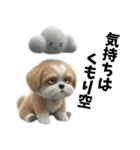 なげやり3Dシーズー（個別スタンプ：24）