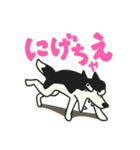 孤群ズ（個別スタンプ：16）