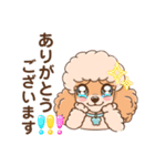 【丁寧語】犬スタンプ｜プードル（個別スタンプ：1）