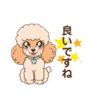 【丁寧語】犬スタンプ｜プードル（個別スタンプ：2）