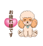 【丁寧語】犬スタンプ｜プードル（個別スタンプ：4）