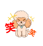 【丁寧語】犬スタンプ｜プードル（個別スタンプ：7）