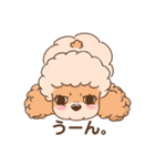【丁寧語】犬スタンプ｜プードル（個別スタンプ：8）