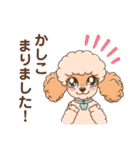 【丁寧語】犬スタンプ｜プードル（個別スタンプ：9）