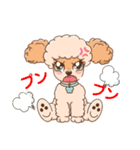【丁寧語】犬スタンプ｜プードル（個別スタンプ：13）