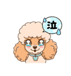 【丁寧語】犬スタンプ｜プードル（個別スタンプ：18）