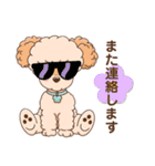 【丁寧語】犬スタンプ｜プードル（個別スタンプ：19）