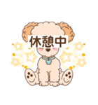 【丁寧語】犬スタンプ｜プードル（個別スタンプ：20）
