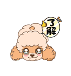 【丁寧語】犬スタンプ｜プードル（個別スタンプ：24）