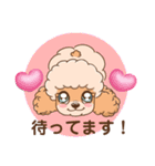 【丁寧語】犬スタンプ｜プードル（個別スタンプ：26）