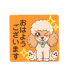 【丁寧語】犬スタンプ｜プードル（個別スタンプ：30）
