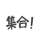 バスケの指導者スタンプ（個別スタンプ：15）