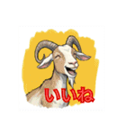 動物たちの笑顔の挨拶 ver1.0（個別スタンプ：3）