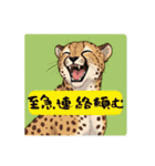 動物たちの笑顔の挨拶 ver1.0（個別スタンプ：7）