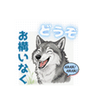動物たちの笑顔の挨拶 ver1.0（個別スタンプ：36）