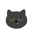 はいいろ の ねこ（個別スタンプ：7）