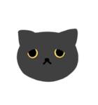 はいいろ の ねこ（個別スタンプ：12）
