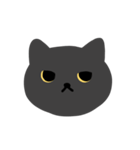 はいいろ の ねこ（個別スタンプ：13）