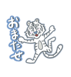 Mr. White Tiger（個別スタンプ：30）