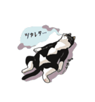 日常使いできる猫 こたンプ（個別スタンプ：10）