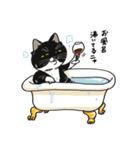 日常使いできる猫 こたンプ（個別スタンプ：12）