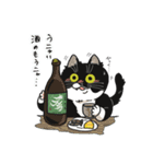 日常使いできる猫 こたンプ（個別スタンプ：13）