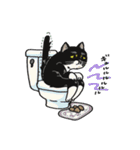 日常使いできる猫 こたンプ（個別スタンプ：15）