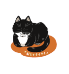 日常使いできる猫 こたンプ（個別スタンプ：17）