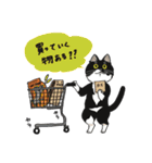 日常使いできる猫 こたンプ（個別スタンプ：19）