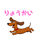 ダックスフンドの【あいさつスタンプ】（個別スタンプ：5）