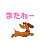 ダックスフンドの【あいさつスタンプ】（個別スタンプ：9）