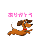 ダックスフンドの【あいさつスタンプ】（個別スタンプ：10）