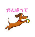 ダックスフンドの【あいさつスタンプ】（個別スタンプ：14）