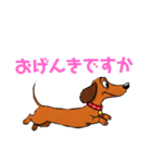 ダックスフンドの【あいさつスタンプ】（個別スタンプ：18）