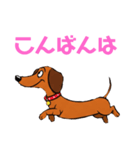 ダックスフンドの【あいさつスタンプ】（個別スタンプ：21）