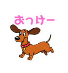 ダックスフンドの【あいさつスタンプ】（個別スタンプ：23）