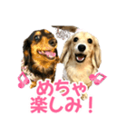 ダックスLove＆Sara4（個別スタンプ：21）