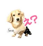 ダックスLove＆Sara4（個別スタンプ：29）
