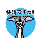 イタグレ達と自然のスタンプ（個別スタンプ：1）
