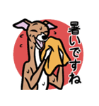 イタグレ達と自然のスタンプ（個別スタンプ：6）