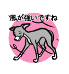 イタグレ達と自然のスタンプ（個別スタンプ：8）