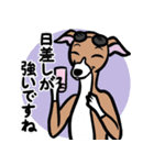 イタグレ達と自然のスタンプ（個別スタンプ：9）
